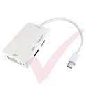 White - Mini Display Port to HDMI, DVI, Display Port Adapter