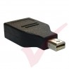 Mini DisplayPort to DisplayPort Adaptor