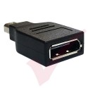 Mini Display Port to Display Port Adaptor