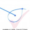 Blue Nylon Cable Ties (100 Pack)