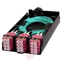 Zettonics LC OM4 Multimode 24 Fibre Splice Cassette Violet