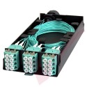 Zettonics LC OM4 Multimode 24 Fibre Splice Cassette Aqua
