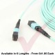 OM4 MPO Type B 12 Core Fibre Trunk Cassette Cable