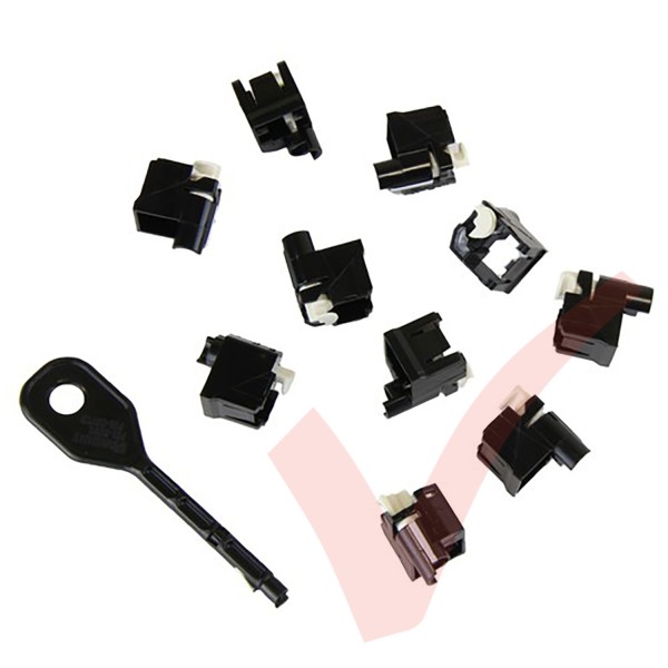 Panduit RJ45 Lock-In Devices - 10x RJ45 Plug Lock Inserts & Removal Tool in Black PSL-DCPLE-BL