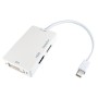 White - Mini Display Port to HDMI, DVI, Display Port Adapter