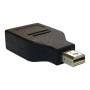 Mini Display Port to Display Port Adaptor