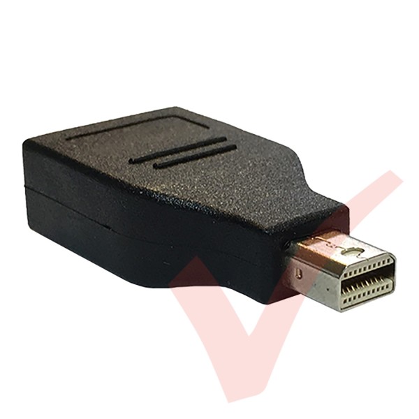 Mini Display Port to Display Port Adaptor