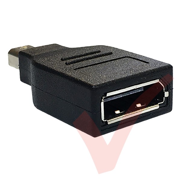 Mini Display Port to Display Port Adaptor