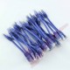 24 Pack of 20cm (8-inch) in Blue - Cat6 High Grade 250MHz 24AWG LSZH Patch Lead for 2U Patching